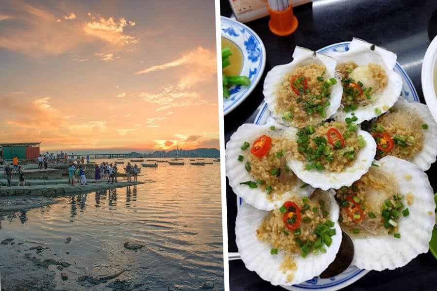 the sunset view at lau fau shan and the steamed scallops with garllic and bean thread noodles