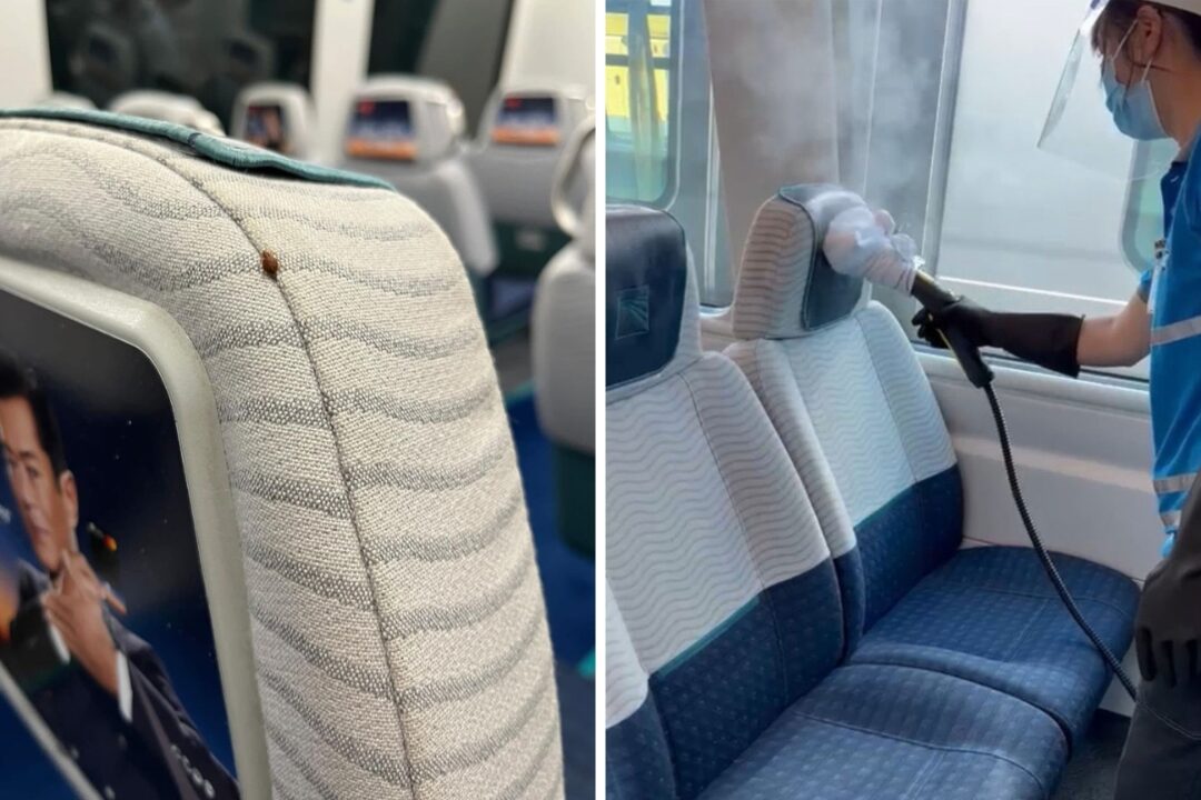 bedbug in hong kong airport express and mtr staff cleaning airport express
