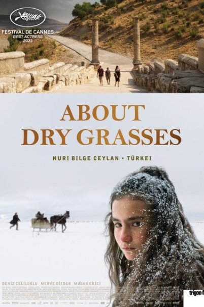 about dry drasses movie poster