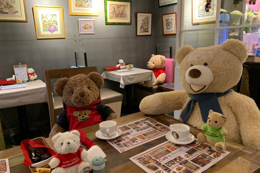 teddy bears at cafe med hong kong