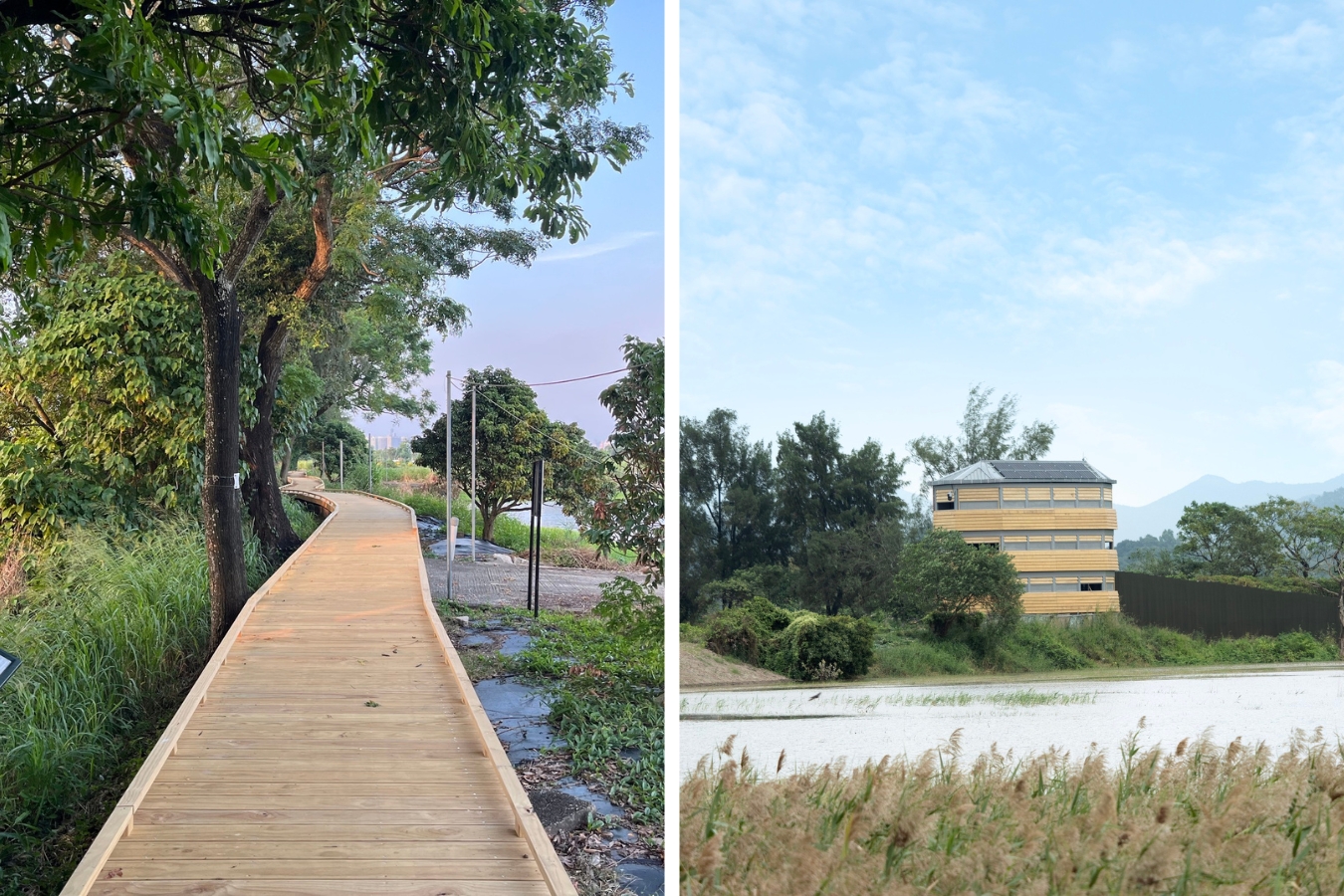 barrier-free wooden trail and birdwatching tower at hong kong mai po nature reserve
