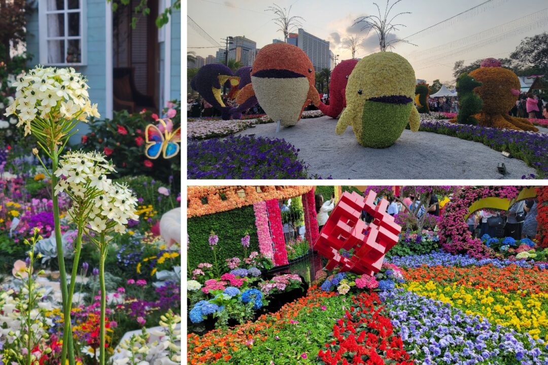 2023 hong kong flower show displays
