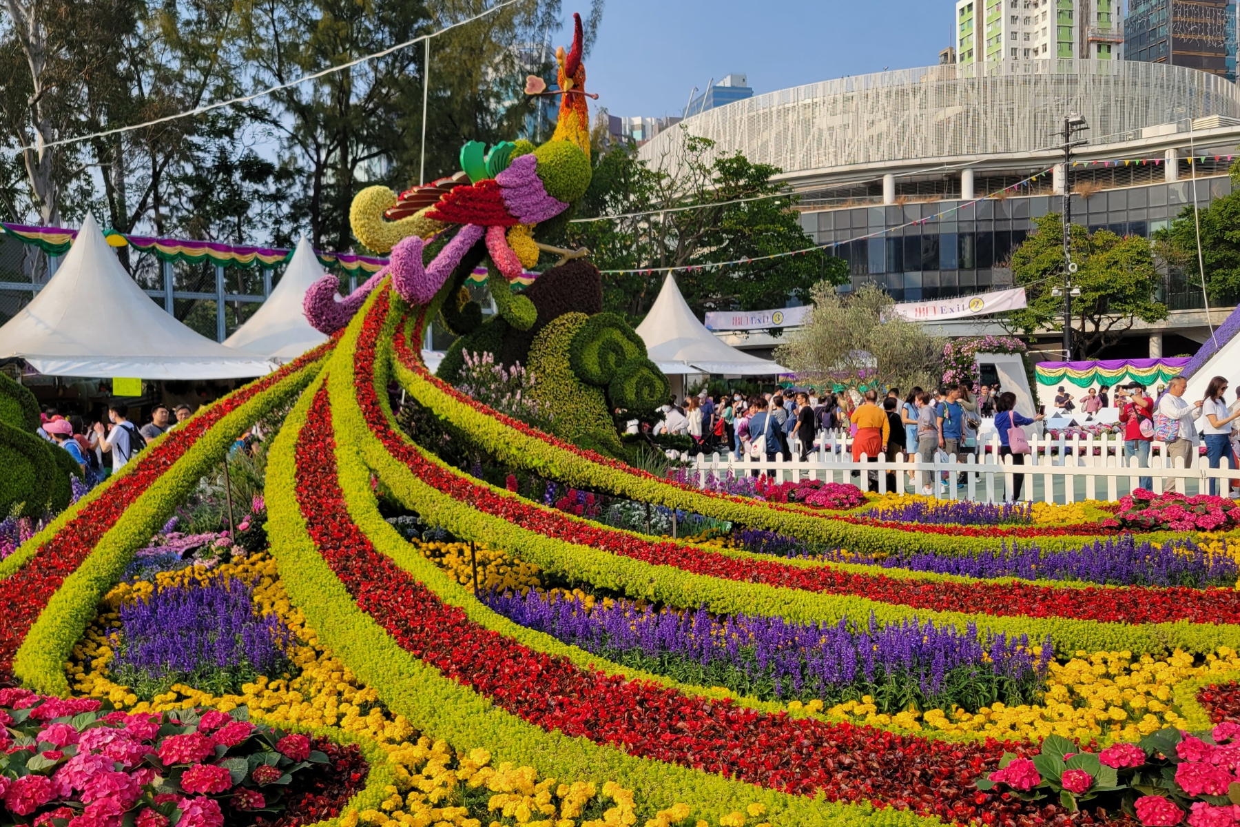 hong kong flower show returns to victoria park 2024