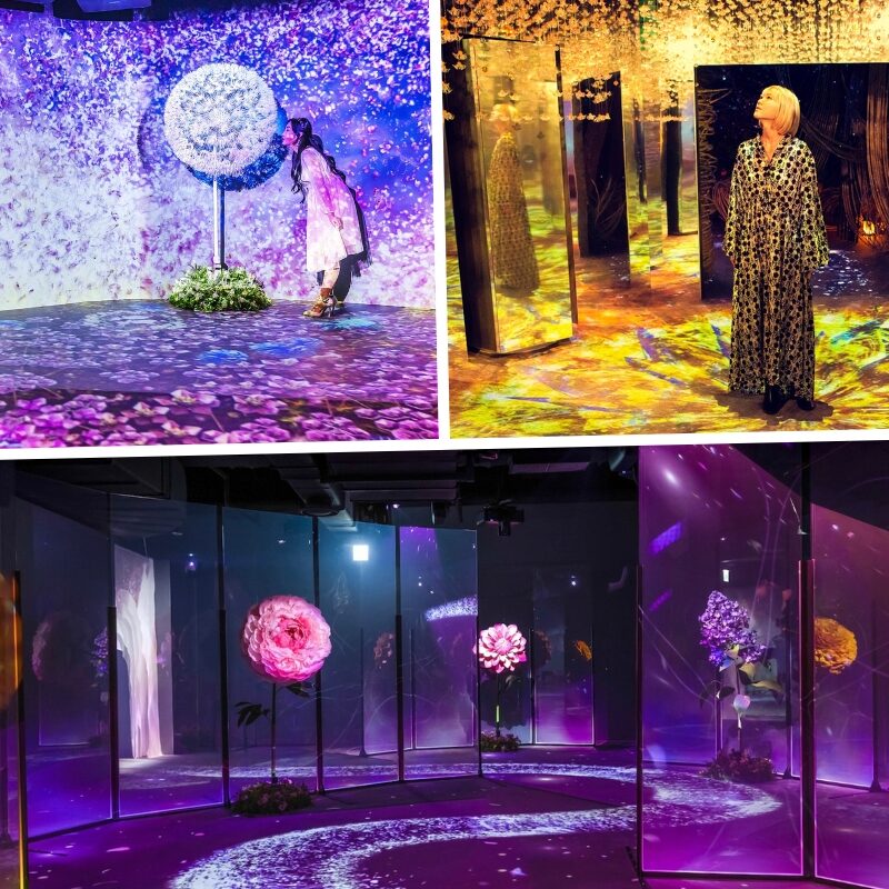 naked flowers exposed 大型本 naked flowers exposed 大型本