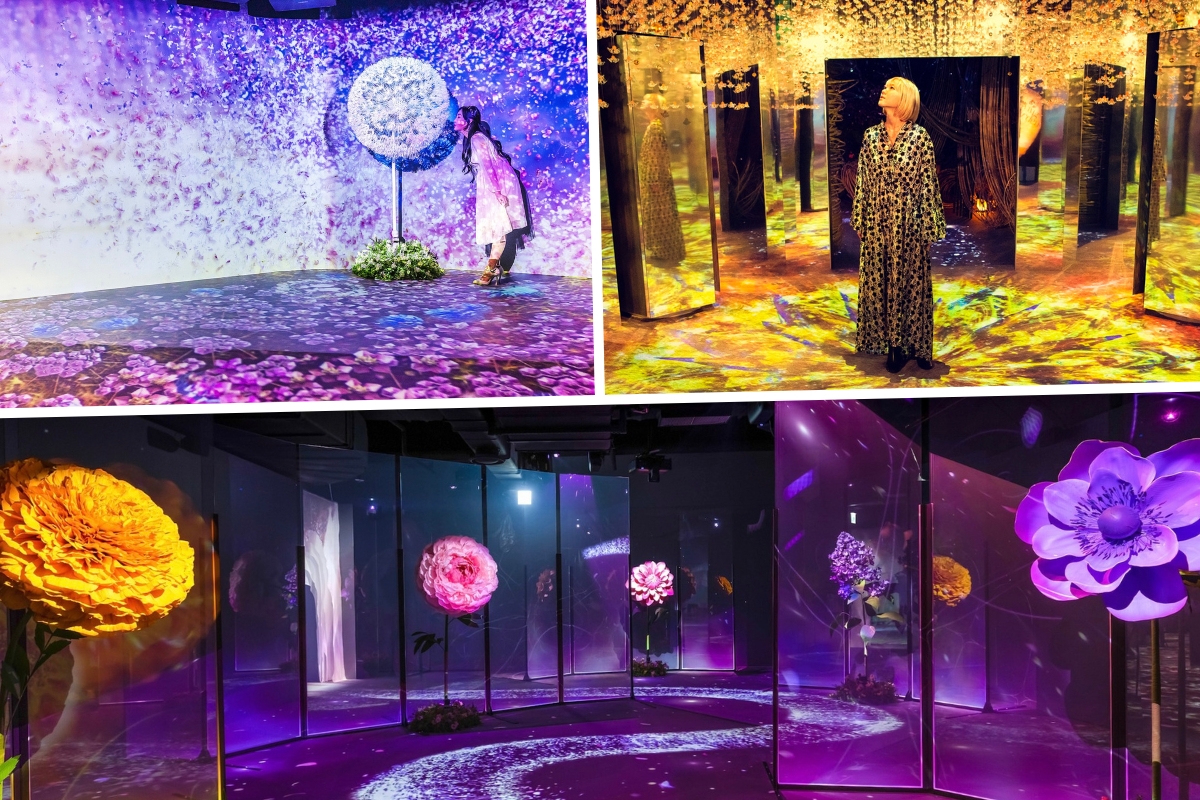 japans naked flowers exhibition to open in hong kong with 8 flower-themed interactive rooms