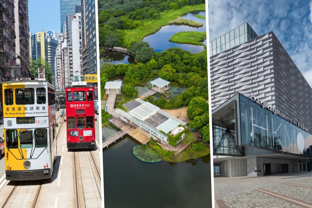 free tram rides, entry to wetland park and hong kong museums on july 1