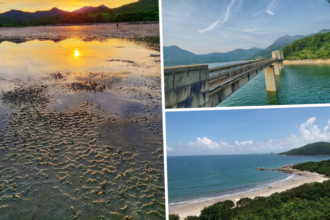 turn south lantau into a resort town say hong kong lawmakers