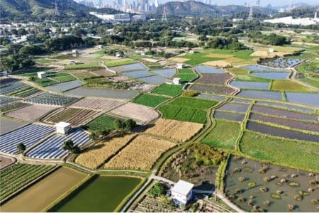 hong kong gets new nature park in long valley