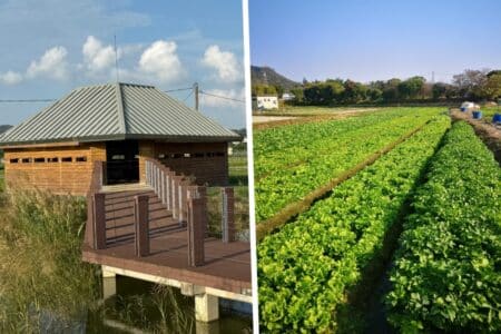 Hong Kong Gets a New Eco-Destination as 37-Hectare Nature Park Opens in