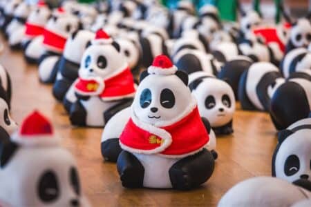 800 pandas on display at tsuen wan until march 6