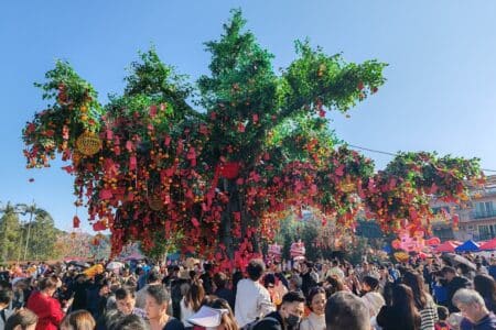 iconic wishing tree will open from january 29 for chinese new year