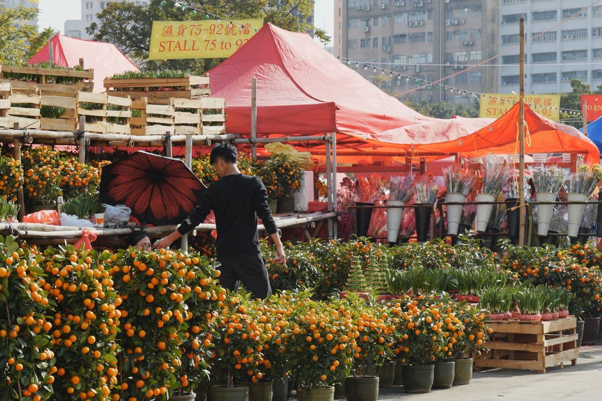 hong kong chinese new year tour