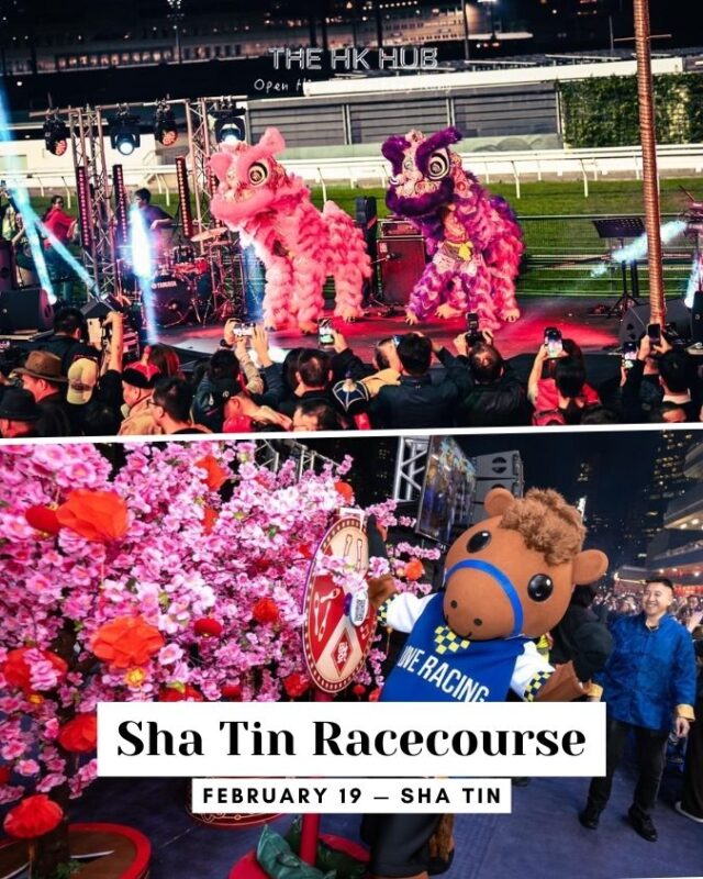 sha tin racecouse cny lion dance in sha tin