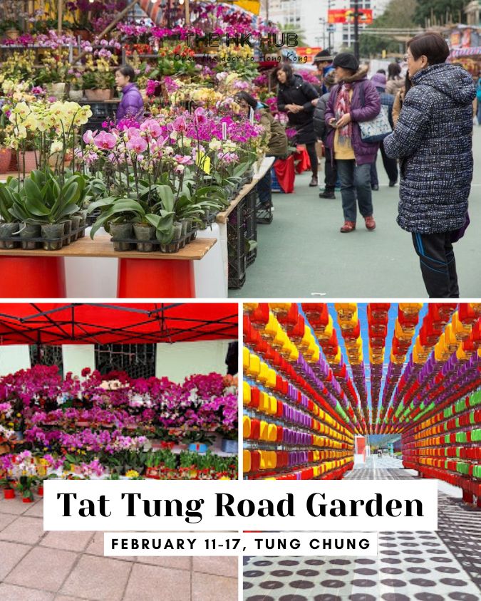 Tat Tung Road Garden chinese new year market in Tung Chung