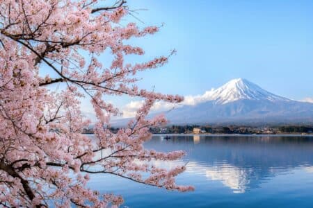 Japan Releases 2025 Cherry Blossom Forecast japan releases 2025 cherry blossom forecast