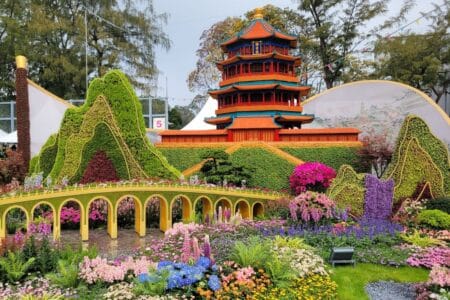 hong kong flower show 2025 masterpiece