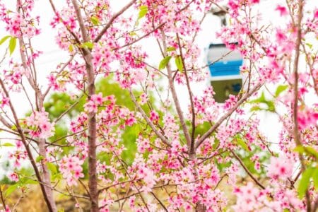 hong kong spring warmer and drier than normal