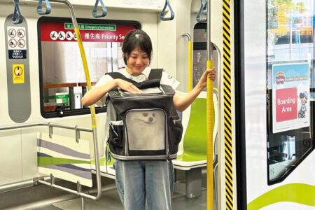 mtr to allow pawrents to travel with pets during weekends