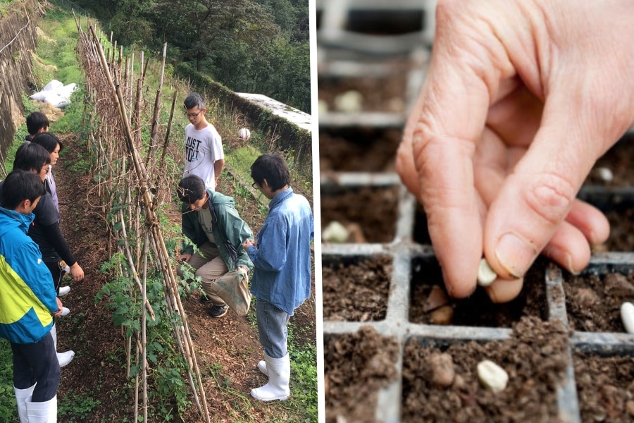 Kadoorie Earth Programme ’Soil, Seed & Community’ Workshop Series 2025 tai po