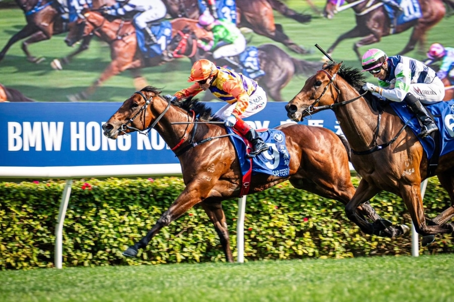 horseracing