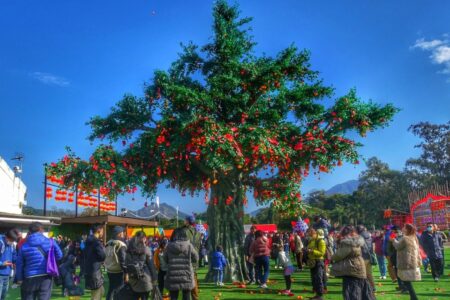 Hong Kong Well-Wishing Tree Festival 2026 Returns from 17 February to 3 March hong kong well wishing tree festival 2026 lam tsuen