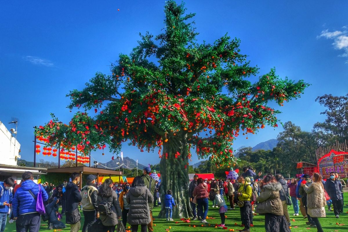 hong kong well wishing tree festival 2026 lam tsuen