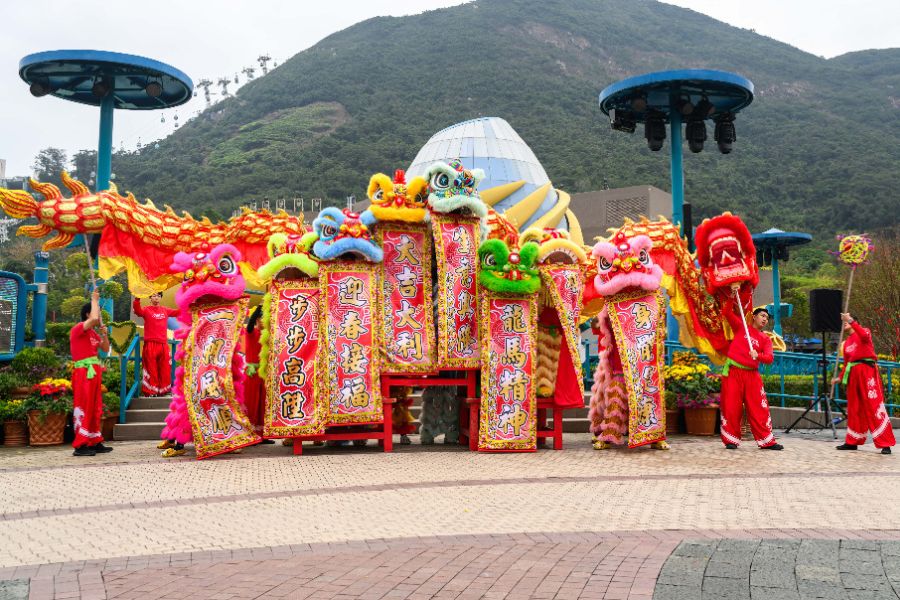 Lion dance performance at Ocean Park with colourful costumes