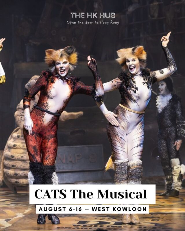 cats the musical