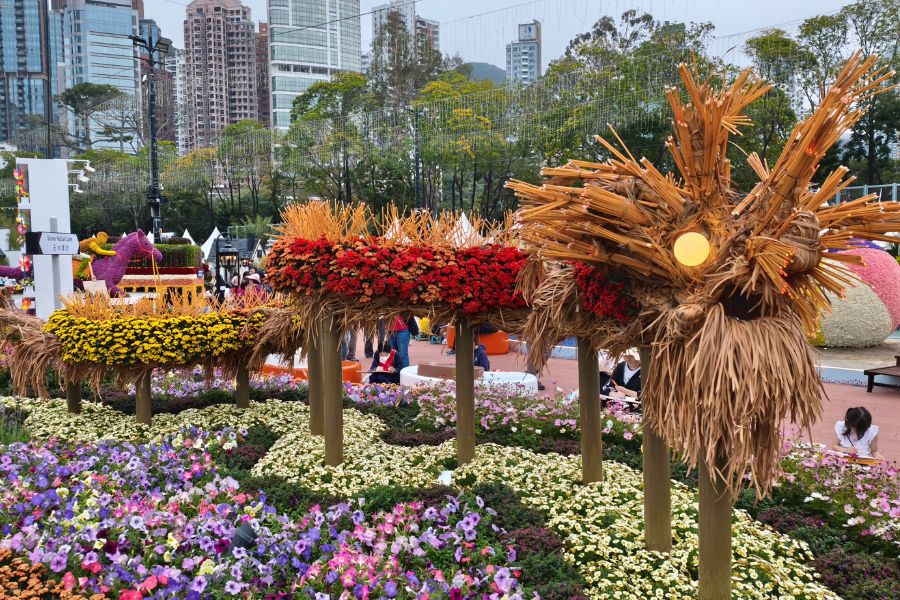 Tai Hang fire dragon floral displays (The HK HUB)