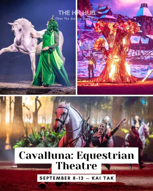 Cavalluna: Equestrian Theatre