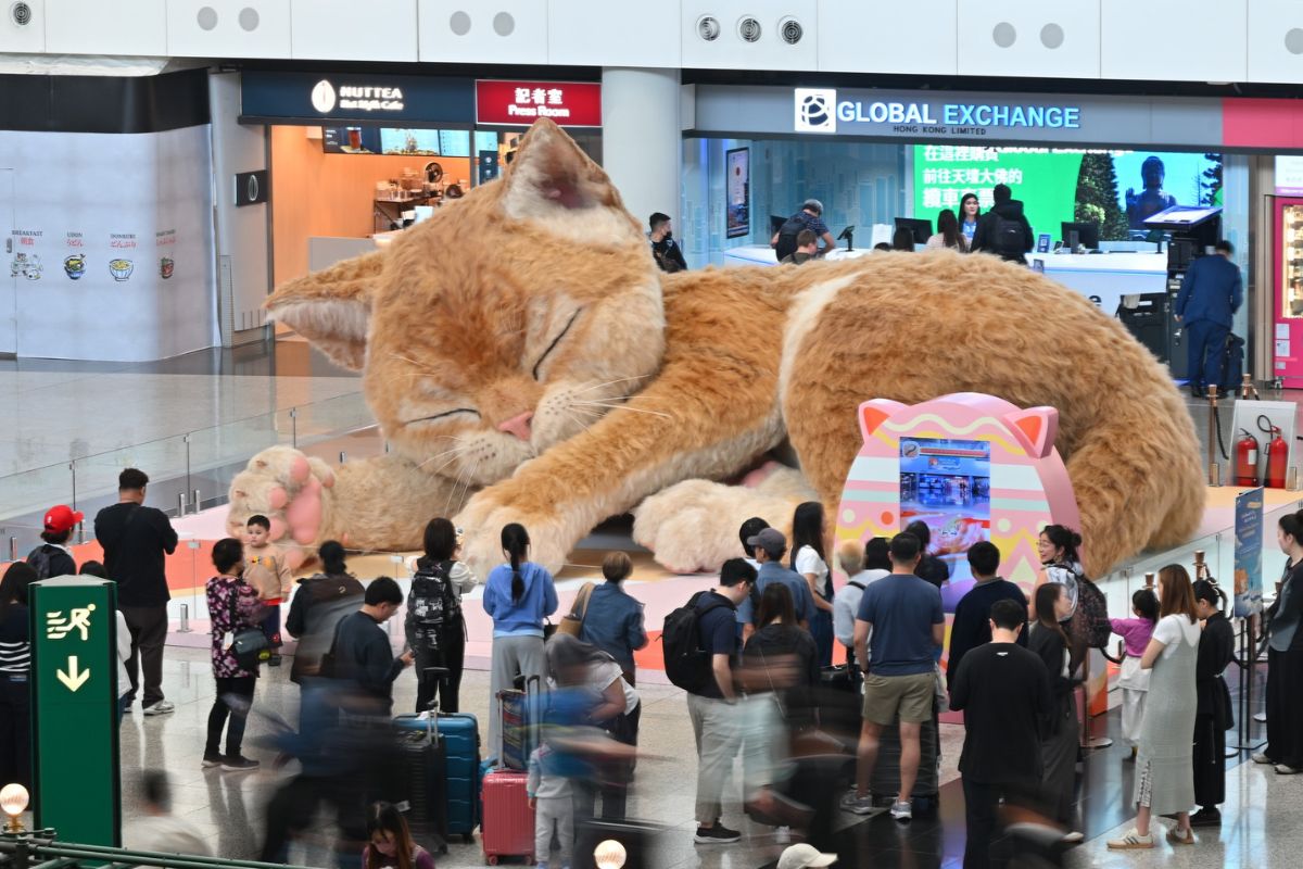 Giant cat on display at Hong Kong International Airport (HKIA)