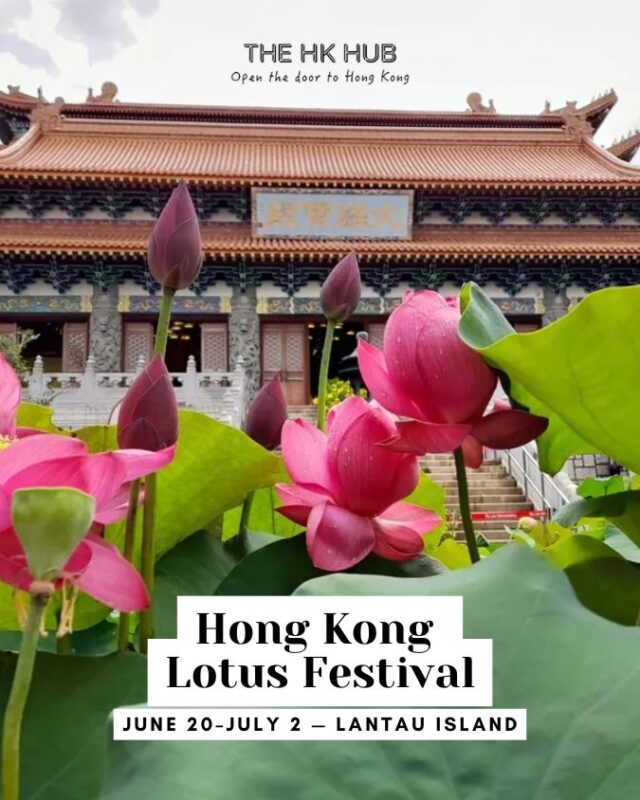 Hong Kong Lotus Festival