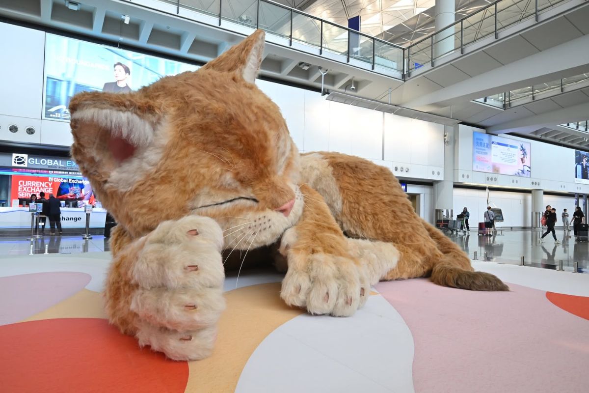A Giant Cat Landed at Hong Kong International Airport giant cat HKIA 2026