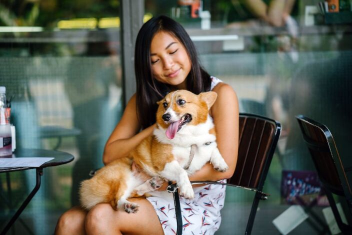 Up To 1,000 Hong Kong Restaurants To Welcome Dogs From July dogs in restaurants in hong kong