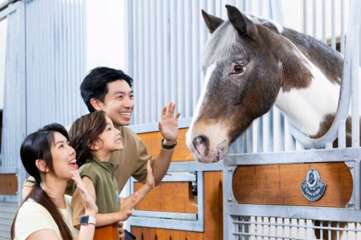 The New Pony World In Sha Tin Lets Kids Ride Ponies From 22 June pony world sha tin