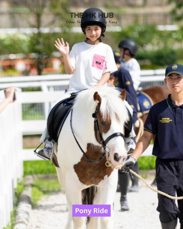 pony ride at the pony world