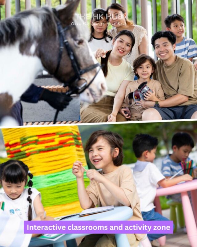 interactive classrooms and activity zone at the pony club