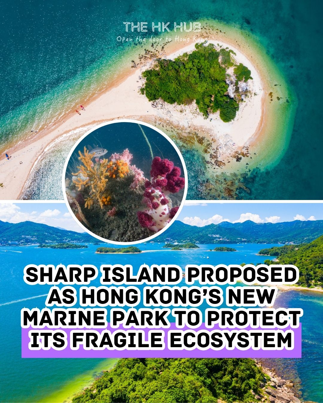 Sharp Island Proposed As Hong Kong’s New Marine Park To Protect Its Fragile Ecosystem