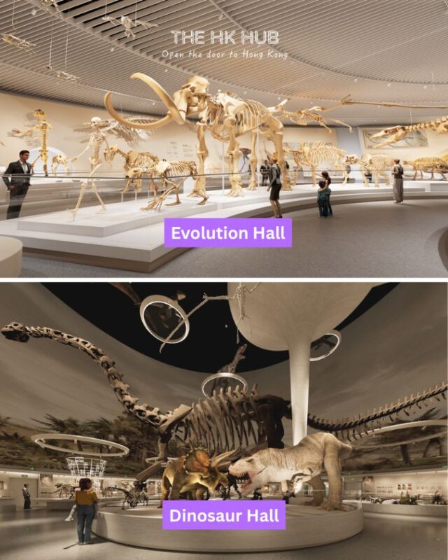 Evolution and Dinosaur Hall at Shenzhen Natural History Museum