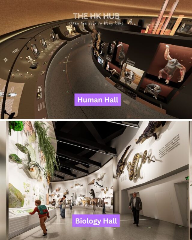 Human and Biology Hall at Shenzhen Natural History Museum