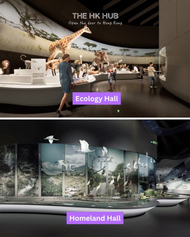 Ecology and Homeland Hall at Shenzhen Natural History Museum