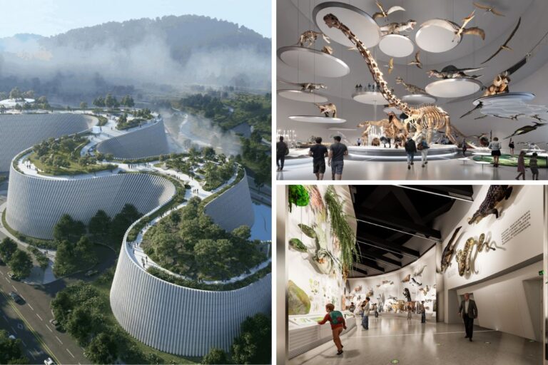 shenzhen natural history museum and the exhibitions