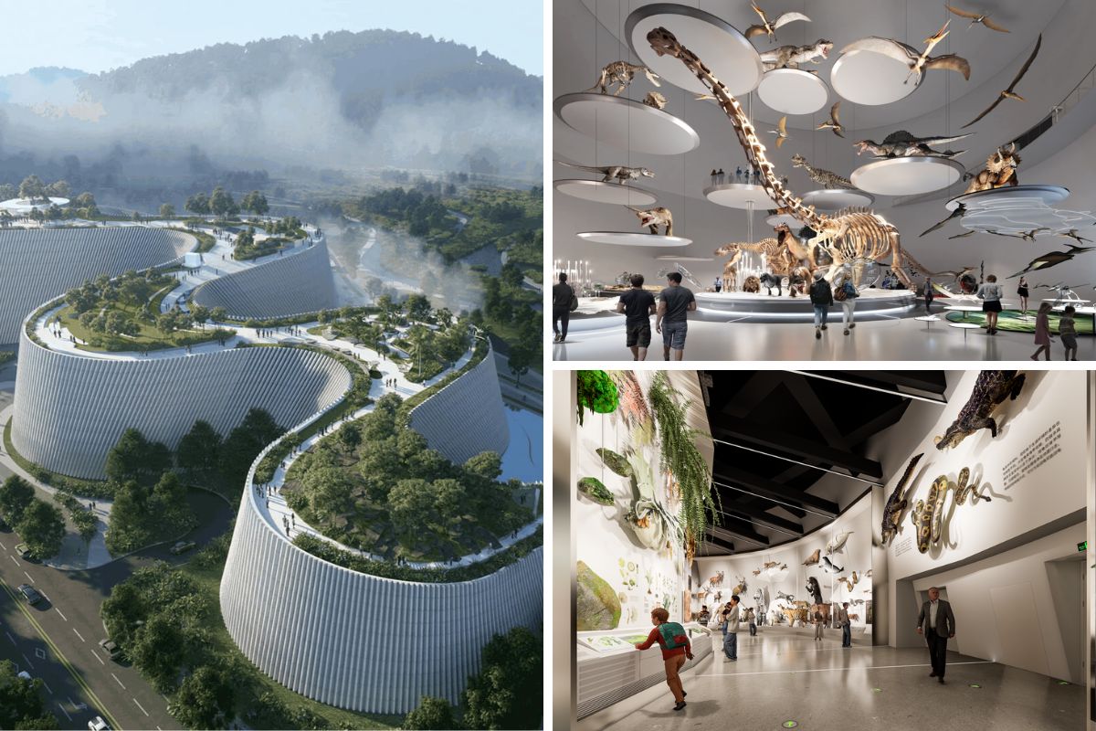 shenzhen natural history museum and the exhibitions