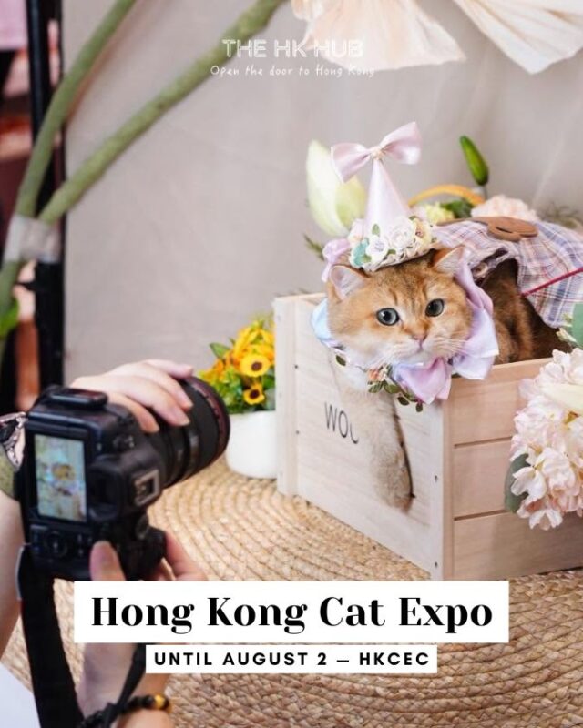 hong kong cat expo