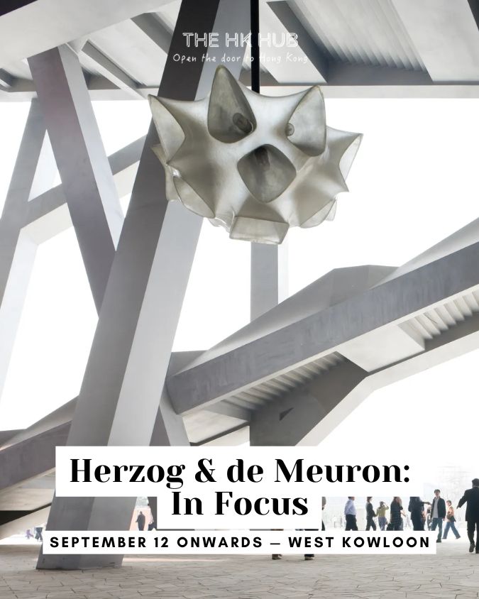 Herzog & de Meuron: In Focus exhibition