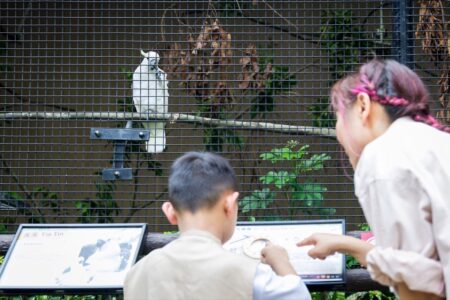 Kadoorie Farm Offers Free Summer Visits From July 15 To Celebrate Its 70th Anniversary kadoorie farm activities
