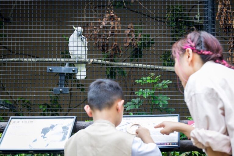 Kadoorie Farm Offers Free Summer Visits From July 15 To Celebrate Its 70th Anniversary kadoorie farm activities