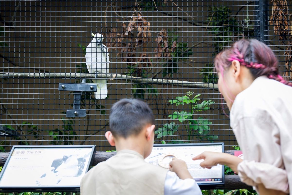 Kadoorie Farm Offers Free Summer Visits From July 15 To Celebrate Its 70th Anniversary kadoorie farm activities