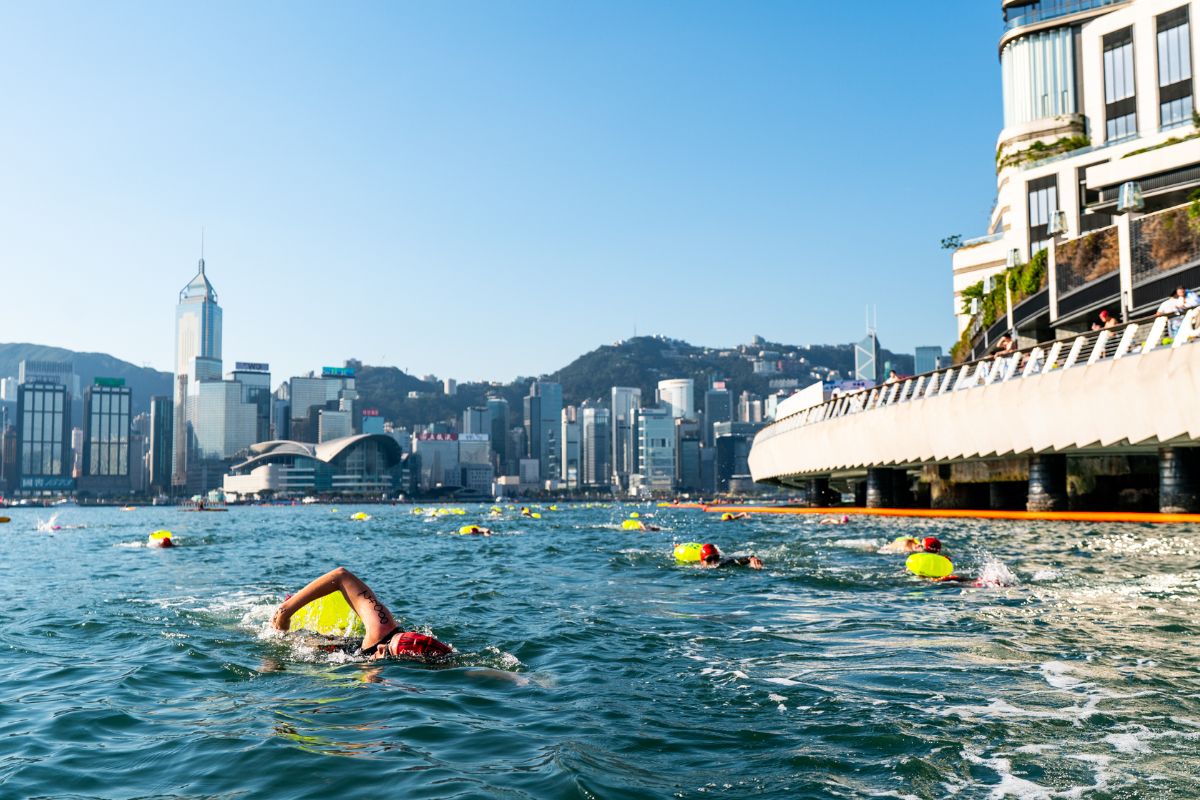 victoria harbour race