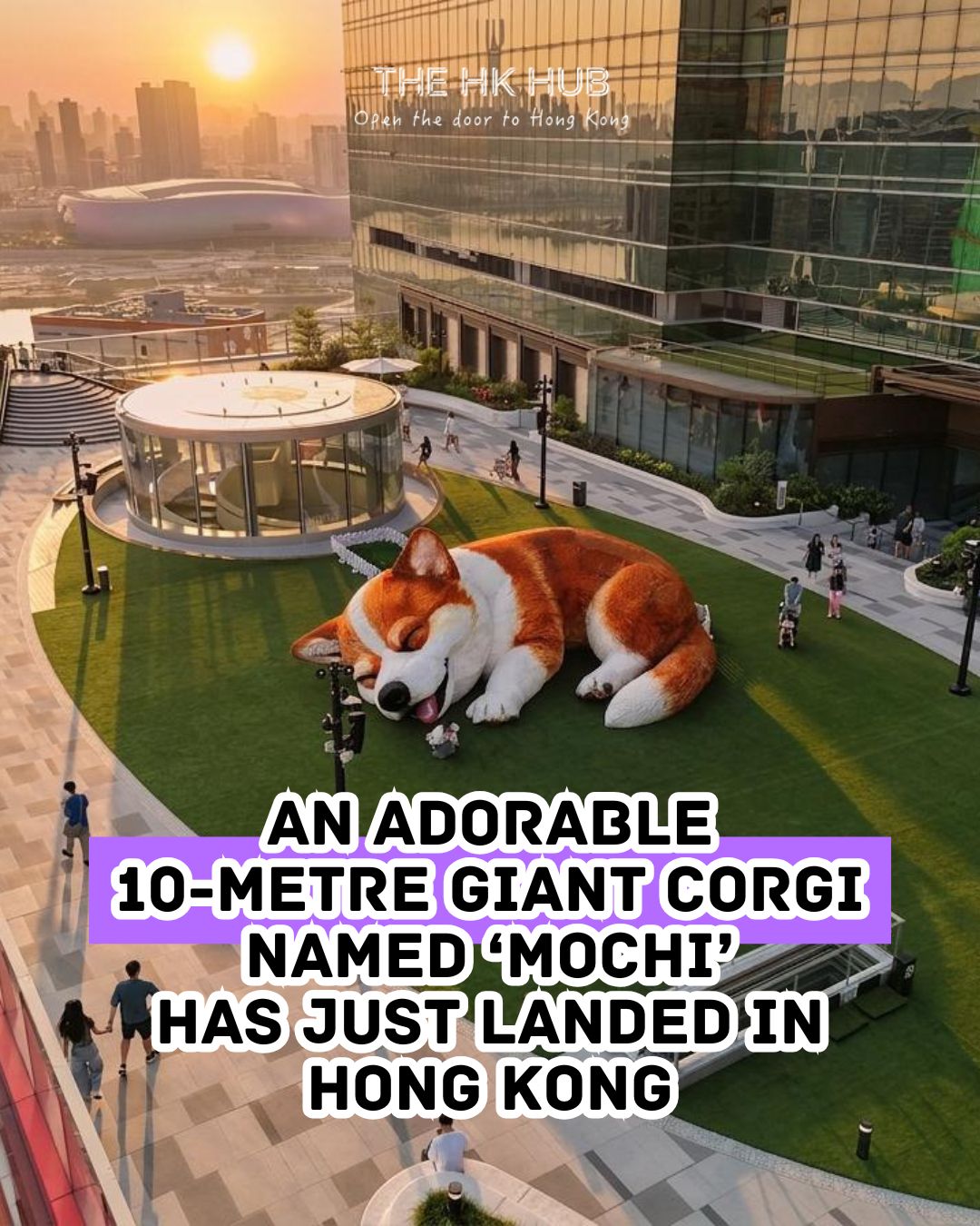 A giant corgi is now on display at MegaBox (Boxing Promotions Limited)
